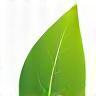 Leaf icon representing sustainability